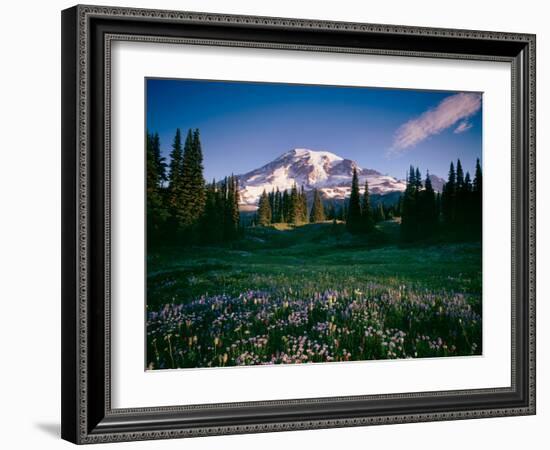 Wildflowers at Mt Rainier, Mt Rainier National Park, Washington State, Usa-null-Framed Photographic Print