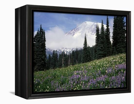 Wildflowers at Paradise Meadow-James Randklev-Framed Premier Image Canvas