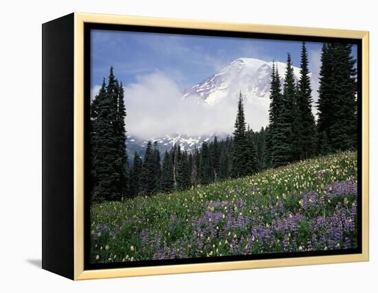 Wildflowers at Paradise Meadow-James Randklev-Framed Premier Image Canvas