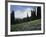 Wildflowers at Paradise Meadow-James Randklev-Framed Photographic Print