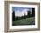 Wildflowers at Paradise Meadow-James Randklev-Framed Photographic Print