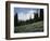 Wildflowers at Paradise Meadow-James Randklev-Framed Photographic Print