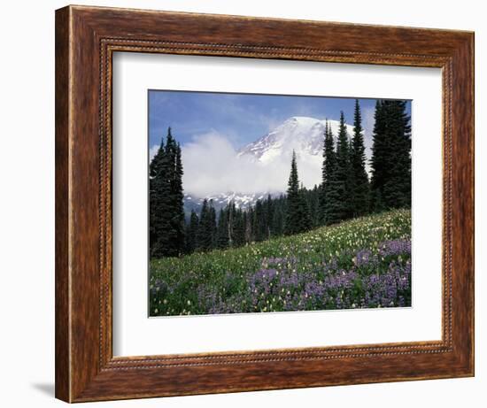 Wildflowers at Paradise Meadow-James Randklev-Framed Photographic Print