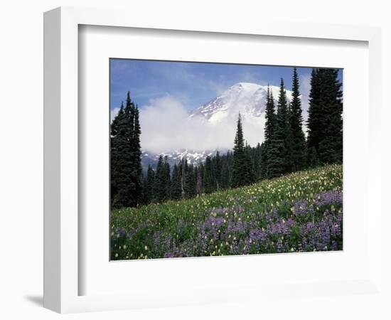 Wildflowers at Paradise Meadow-James Randklev-Framed Photographic Print