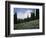 Wildflowers at Paradise Meadow-James Randklev-Framed Photographic Print