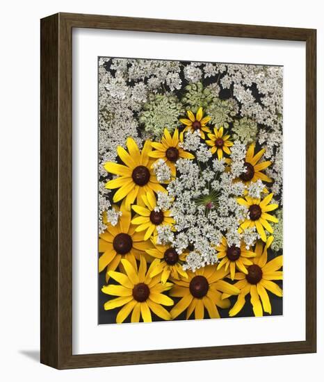 Wildflowers black eyed Susans Queen Ann Lace-null-Framed Premium Giclee Print