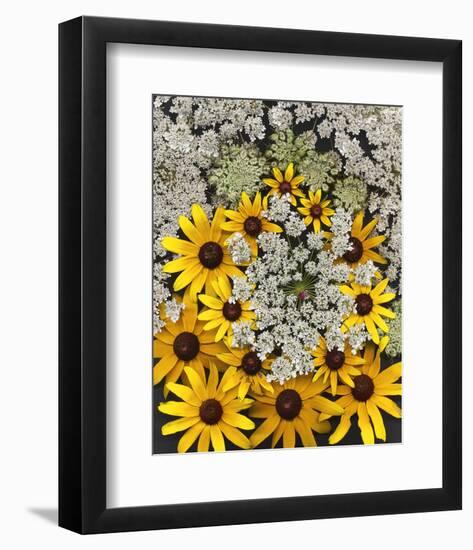 Wildflowers black eyed Susans Queen Ann Lace-null-Framed Art Print