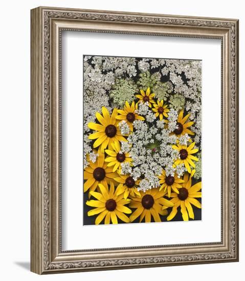 Wildflowers black eyed Susans Queen Ann Lace-null-Framed Art Print