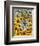 Wildflowers black eyed Susans Queen Ann Lace-null-Framed Art Print