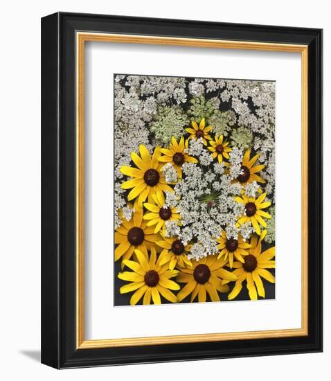 Wildflowers black eyed Susans Queen Ann Lace-null-Framed Art Print