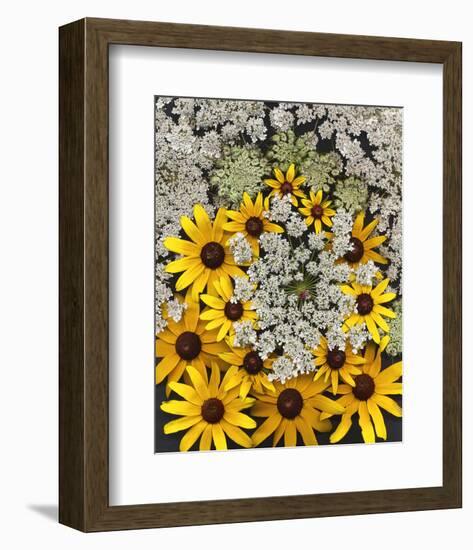 Wildflowers black eyed Susans Queen Ann Lace-null-Framed Art Print