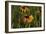 Wildflowers, Black-Eyed Susans-Gordon Semmens-Framed Photographic Print