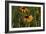 Wildflowers, Black-Eyed Susans-Gordon Semmens-Framed Photographic Print