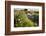 Wildflowers by Hill Country Stream, Texas, USA-Larry Ditto-Framed Photographic Print