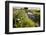 Wildflowers by Hill Country Stream, Texas, USA-Larry Ditto-Framed Photographic Print