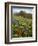 Wildflowers, Columbia River Gorge National Scenic Area, Washington,Usa-Charles Gurche-Framed Photographic Print