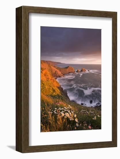 Wildflowers Growing on the Cliff Tops Above Hartland Point, Looking South to Screda Point, Devon-Adam Burton-Framed Photographic Print