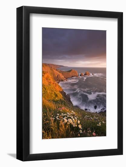 Wildflowers Growing on the Cliff Tops Above Hartland Point, Looking South to Screda Point, Devon-Adam Burton-Framed Photographic Print
