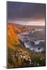 Wildflowers Growing on the Cliff Tops Above Hartland Point, Looking South to Screda Point, Devon-Adam Burton-Mounted Photographic Print