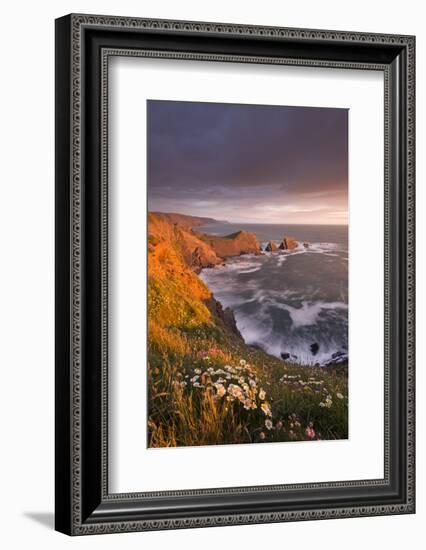 Wildflowers Growing on the Cliff Tops Above Hartland Point, Looking South to Screda Point, Devon-Adam Burton-Framed Photographic Print