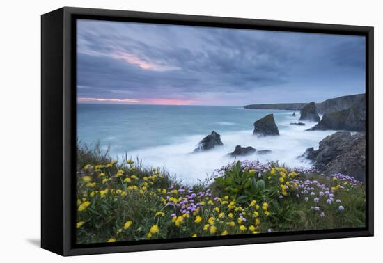 Wildflowers Growing on the Clifftops Above Bedruthan Steps on a Stormy Evening, Cornwall, England-Adam Burton-Framed Premier Image Canvas