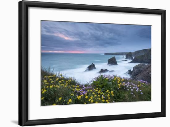 Wildflowers Growing on the Clifftops Above Bedruthan Steps on a Stormy Evening, Cornwall, England-Adam Burton-Framed Photographic Print