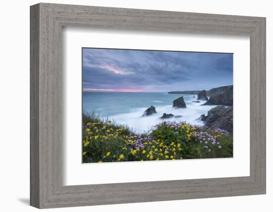 Wildflowers Growing on the Clifftops Above Bedruthan Steps on a Stormy Evening, Cornwall, England-Adam Burton-Framed Photographic Print