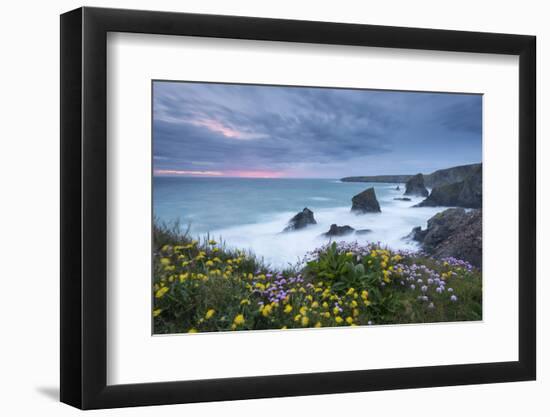 Wildflowers Growing on the Clifftops Above Bedruthan Steps on a Stormy Evening, Cornwall, England-Adam Burton-Framed Photographic Print