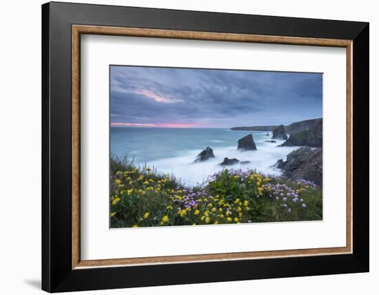 Wildflowers Growing on the Clifftops Above Bedruthan Steps on a Stormy Evening, Cornwall, England-Adam Burton-Framed Photographic Print