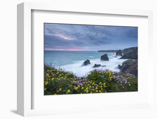 Wildflowers Growing on the Clifftops Above Bedruthan Steps on a Stormy Evening, Cornwall, England-Adam Burton-Framed Photographic Print