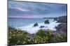 Wildflowers Growing on the Clifftops Above Bedruthan Steps on a Stormy Evening, Cornwall, England-Adam Burton-Mounted Photographic Print