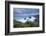 Wildflowers Growing on the Clifftops Above Bedruthan Steps on a Stormy Evening, Cornwall, England-Adam Burton-Framed Photographic Print