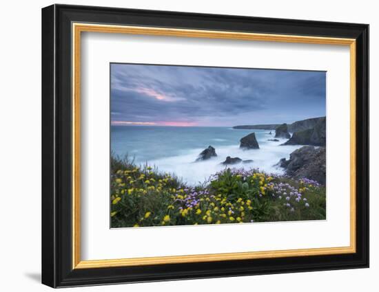 Wildflowers Growing on the Clifftops Above Bedruthan Steps on a Stormy Evening, Cornwall, England-Adam Burton-Framed Photographic Print