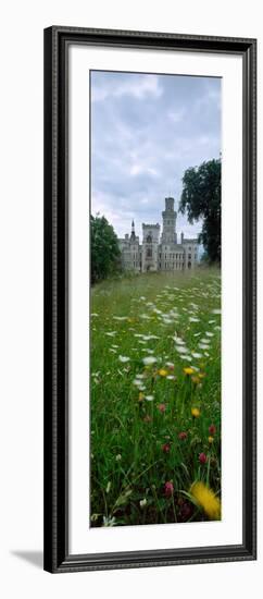 Wildflowers in a field with a castle in the background, Hluboka Castle, Bohemia, Czech Republic-null-Framed Photographic Print