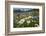 Wildflowers in abundance on fallow agricultural land, Italy-Paul Harcourt Davies-Framed Photographic Print