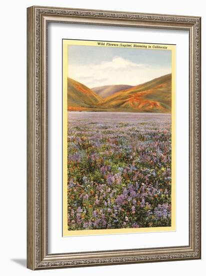 Wildflowers in California-null-Framed Art Print