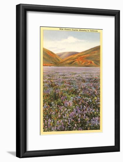 Wildflowers in California-null-Framed Art Print