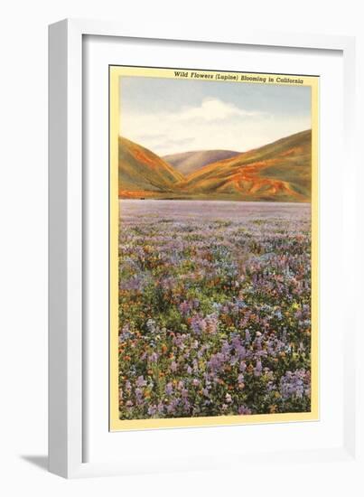 Wildflowers in California-null-Framed Art Print