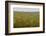 Wildflowers in Rolling Hills Landscape. Tuscany, Italy-Tom Norring-Framed Photographic Print