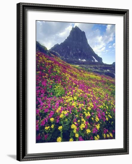 Wildflowers in Summer, Glacier National Park, Montana, USA-Christopher Talbot Frank-Framed Photographic Print