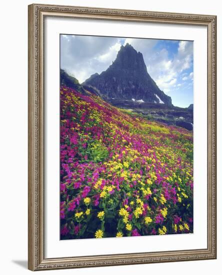 Wildflowers in Summer, Glacier National Park, Montana, USA-Christopher Talbot Frank-Framed Photographic Print