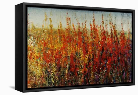 Wildflowers in Summer-Tim O'toole-Framed Premier Image Canvas