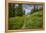 Wildflowers in the Albion Basin, Uinta Wasatch Cache Mountains, Utah-Howie Garber-Framed Premier Image Canvas