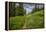 Wildflowers in the Albion Basin, Uinta Wasatch Cache Mountains, Utah-Howie Garber-Framed Premier Image Canvas