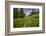 Wildflowers in the Albion Basin, Uinta Wasatch Cache Mountains, Utah-Howie Garber-Framed Photographic Print