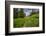 Wildflowers in the Albion Basin, Uinta Wasatch Cache Mountains, Utah-Howie Garber-Framed Photographic Print