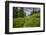 Wildflowers in the Albion Basin, Uinta Wasatch Cache Mountains, Utah-Howie Garber-Framed Photographic Print