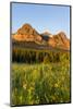 Wildflowers in the Cut Bank Valley of Glacier National Park, Montana, USA-Chuck Haney-Mounted Photographic Print