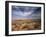 Wildflowers in the Harsh Arizona Desert-Carol Highsmith-Framed Photo