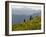 Wildflowers in the Tatoosh Wilderness, Washington Cascade Range, USA-Janis Miglavs-Framed Photographic Print